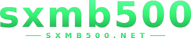 sxmb500 logo